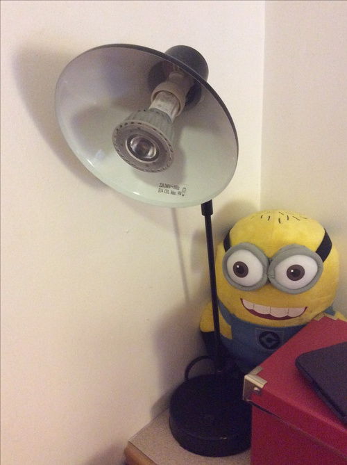 9月回国日常用品低价转让