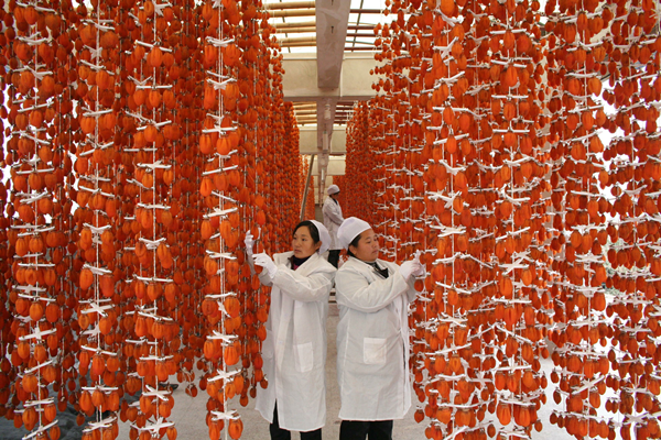 以农业全产业链建设推动乡村全面振兴——以蔬菜产业为例