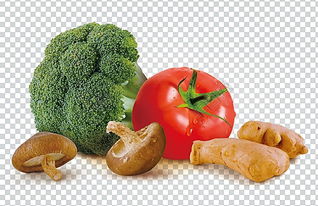 免费获取专业蔬菜图片模板 编号15400611 PSD格式详解与千图网使用指南