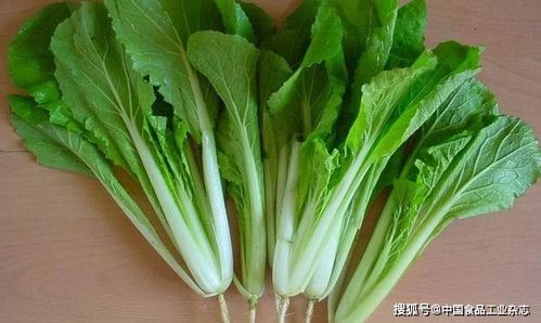 西安三所幼儿园食品安全敲警钟 蔬菜零食竟成隐患，家长务必警惕