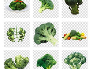 西兰花蔬菜图片素材与模板大全 食物饮品类资源助力生活与工作